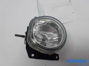 Mistlamp FIAT Fiorino Kasten/Großraumlimousine (225), FIAT Qubo (225)