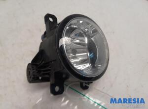 Fog Light FIAT Ducato Kasten (250, 290), FIAT Ducato Bus (250, 290), FIAT Ducato Kasten (250)