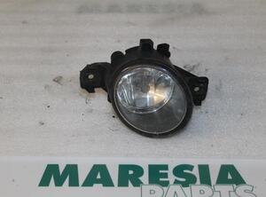 Fog Light RENAULT VEL SATIS (BJ0_)