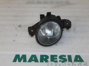 Fog Light RENAULT VEL SATIS (BJ0_)