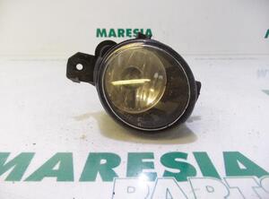 Fog Light RENAULT VEL SATIS (BJ0_)