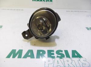 Fog Light RENAULT VEL SATIS (BJ0_)