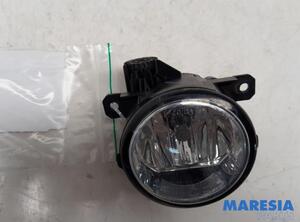 Mistlamp FIAT PANDA (312_, 319_), LANCIA YPSILON (312_), FIAT PANDA VAN (312_, 519_)