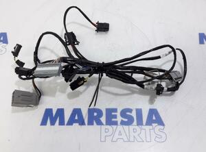 Wiring Harness RENAULT Captur I (H5, J5), RENAULT Clio IV (BH)