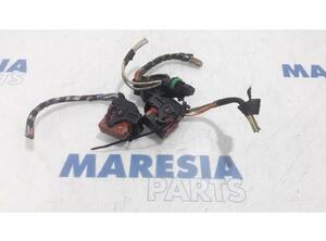 Wiring Harness PEUGEOT 207 CC (WD)