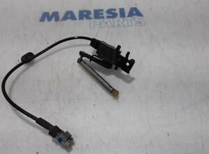 Sensor Peugeot RCZ  1307213009 P16504633