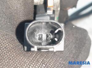 Sensor Citroen DS4  9802043480 P19890181