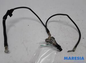 Sensor Citroen Berlingo II Multispace B9 9676592080 P20645312