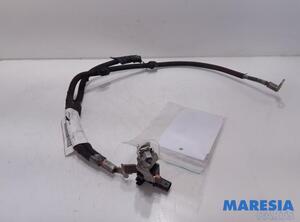 Sensor Citroen C3 III SX 9814740480 P20056103