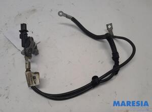 Sensor Peugeot 3008  9676592080 P21044997