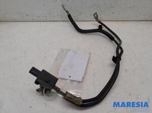 Sensor Peugeot 3008  9666488280 P21323636