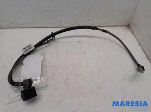 Sensor RENAULT TWINGO III (BCM_, BCA_)