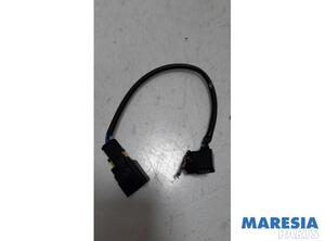 Sensor PEUGEOT 207 CC (WD_)