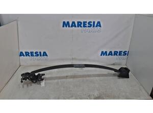 Leaf Springs RENAULT Master III Kasten (FV)