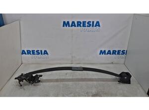 Leaf Springs RENAULT Master III Kasten (FV)