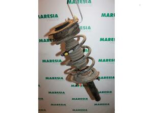 Suspension Strut RENAULT MEGANE II Saloon (LM0/1_), RENAULT MEGANE II (BM0/1_, CM0/1_)