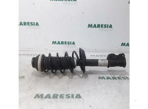 Suspension Strut FIAT Grande Punto (199), FIAT Punto (199), FIAT Punto Evo (199)