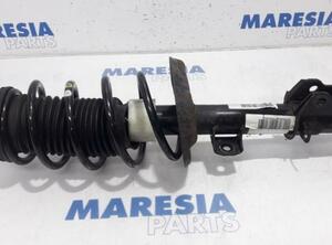 Suspension Strut FIAT Grande Punto (199), FIAT Punto (199), FIAT Punto Evo (199)