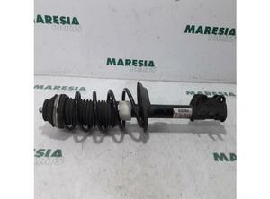 Suspension Strut FIAT Grande Punto (199), FIAT Punto (199), FIAT Punto Evo (199)