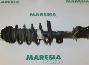 Suspension Strut FIAT Grande Punto (199), FIAT Punto (199), FIAT Punto Evo (199)