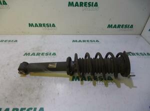 Suspension Strut PEUGEOT 407 SW (6E)