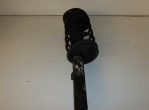 Suspension Strut PEUGEOT 206 Schrägheck (2A/C), PEUGEOT 206 Stufenheck (--)