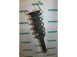 Suspension Strut PEUGEOT 407 SW (6E)