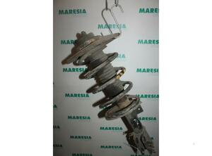 Suspension Strut LANCIA Phedra (179)