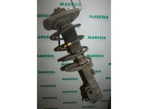 Suspension Strut LANCIA Phedra (179)