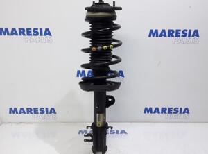 Suspension Strut FIAT DOBLO Cargo (263_)