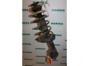 Suspension Strut RENAULT KANGOO Express (FC0/1_)