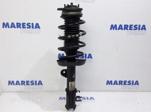 Suspension Strut FIAT Doblo Cargo (263)