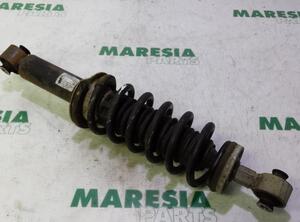 Suspension Strut PEUGEOT 407 (6D)