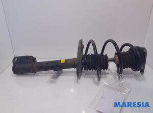 Suspension Strut RENAULT Captur I (H5, J5), RENAULT Clio IV (BH)