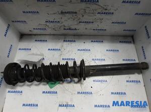 Suspension Strut RENAULT Twingo I (C06)