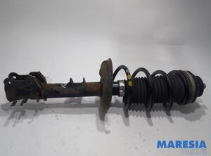 Suspension Strut FIAT Panda (312, 319), FIAT Panda Van (312, 519)