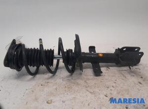 Suspension Strut RENAULT Captur I (H5, J5), RENAULT Clio IV (BH)