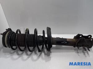 Suspension Strut FIAT DOBLO Cargo (263_)