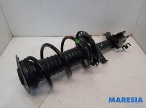 Suspension Strut RENAULT Zoe (BFM)