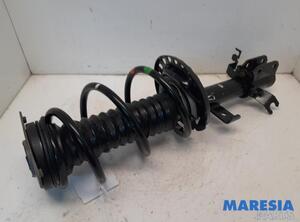 Suspension Strut RENAULT Zoe (BFM)