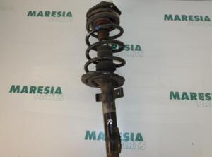 Suspension Strut RENAULT GRAND SCÉNIC II (JM0/1_)