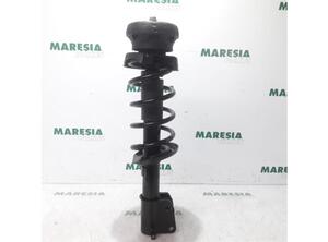 Suspension Strut FIAT Talento Kasten/Kombi (296_), FIAT TALENTO Van (296_), FIAT TALENTO Platform/Chassis (296_)