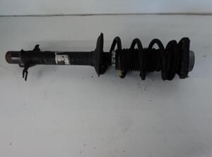 Suspension Strut FIAT DUCATO Van (250_, 290_), CITROËN JUMPER Van, FIAT DUCATO Bus (250_, 290_), PEUGEOT BOXER Van