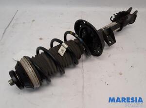 Suspension Strut FIAT PANDA (312_, 319_), LANCIA YPSILON (312_), FIAT PANDA VAN (312_, 519_)