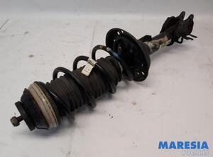 Suspension Strut FIAT PANDA (312_, 319_), LANCIA YPSILON (312_), FIAT PANDA VAN (312_, 519_)