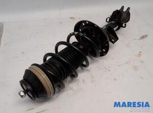 Veerpoot FIAT PANDA (312_, 319_), FIAT PANDA VAN (312_, 519_), LANCIA YPSILON (312_), FIAT PUNTO (199_)