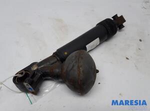 Suspension Strut CITROËN C5 III (RD_)