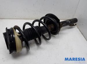 Suspension Strut RENAULT GRAND SCÉNIC II (JM0/1_), RENAULT SCÉNIC II (JM0/1_)