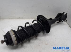 
Federbein links vorne Fiat Panda 312, 319 51926520 P21237840
