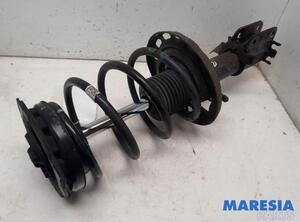 Suspension Strut RENAULT MEGANE III Coupe (DZ0/1_)